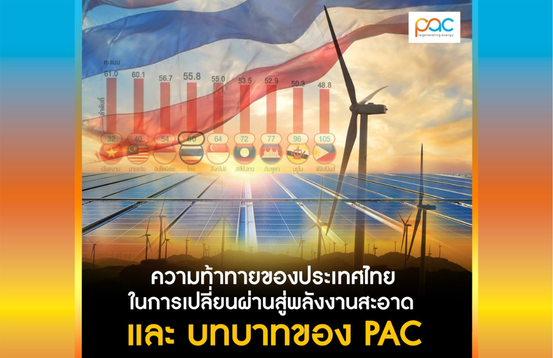 PAC Gallery